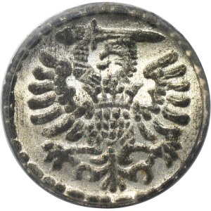 Sigismund III Vasa, Denarius Danzig 1595 - PCGS MS64