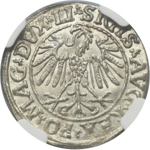 Sigismund II August, 1/2 Groschen Vilnius 1547 - LI/LITVA - NGC MS63
