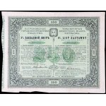 TKM Piotrkow, 5% first series mortgage bond, 250 rubles