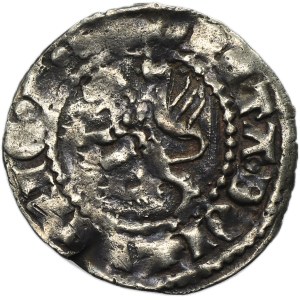 Casimir III the Great, Kwartnik Lviv undated