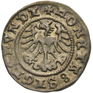 Sigismund I the Old, 1/2 Groschen Krakau 1509