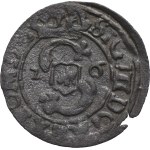 Sigismund III Vasa, Szeląg Bydgoszcz 1626