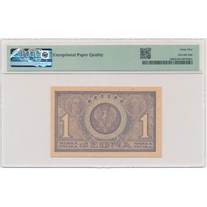 1 mark 1919 - IAR - PMG 65 EPQ