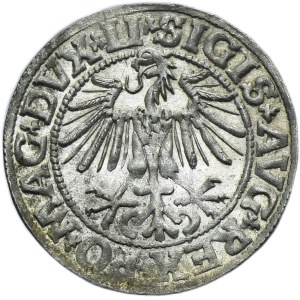 Zygmunt II August, Półgrosz Wilno 1549 - LI/LITVA