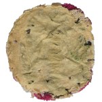 Second Polish Republic, Officers Eagle, Polish Army in France