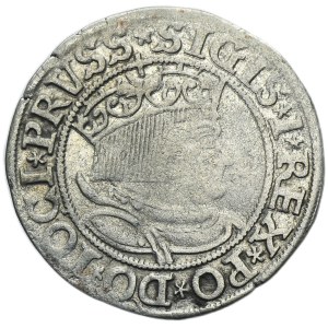 Sigismund I the Old, Groschen Thorn 1533 - PRVSS/PRVSSIE