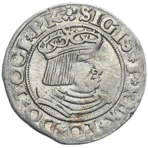 Sigismund I the Old, Groschen Danzig 1531 - PR