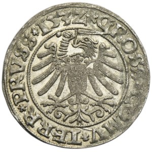 Sigismund I the Old, Groschen Thorn 1532 - PRVSS/PRVSS