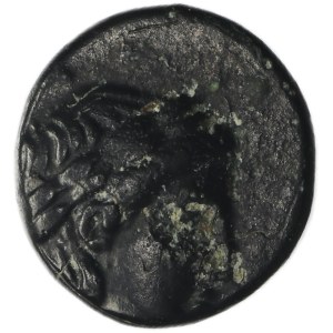 Grecia, Troas, Gargara, Marrone