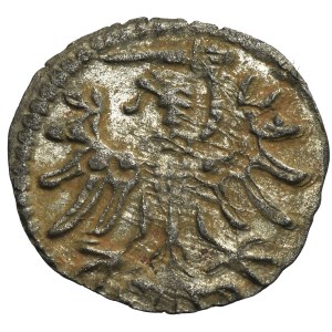 Sigismund II August, Denarius Danzig 1554