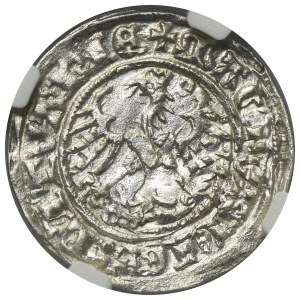 Sigismund I the Old, 1/2 Groschen Vilnius 1513 - NGC AU DETAILS
