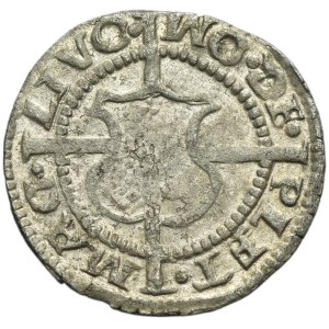 Schwertritterorden, Wolter von Plettenberg, das Rigaer Regal 1535