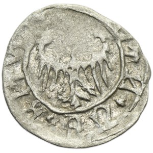 Silesia, Duchy of Beuthen-Teschen, Euphemia or sons, Haller Beuthen