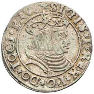 Zygmunt I Stary, Grosz Toruń 1531 - PRVS/PRVSS