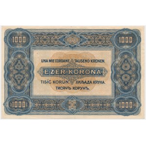 Hungary, 1.000 Korona 1920