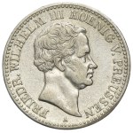 Zobacz podobne