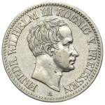 Zobacz podobne