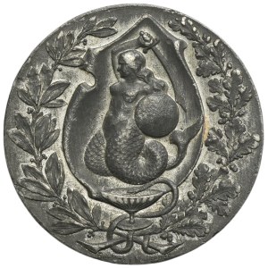 Médaille de l'Exposition d'hygiène de Varsovie, 1896