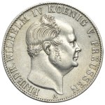 Zobacz podobne