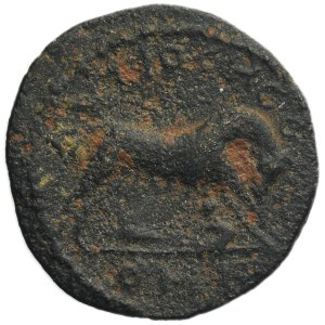 Roman Provincial, Pisidia, Antioch, Severus Alexander, AE
