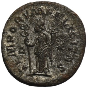 Roman Imperial, Tacitus, Antoninianus