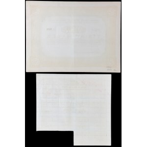 Velkoobchod se dřevem „Wisła“, akciová společnost, 1 000 mkp, 1920