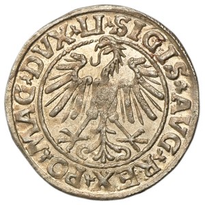 Sigismund II August, 1/2 Groschen Vilnius 1547 - LI/LITVA