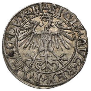 Sigismund II August, 1/2 Groschen Vilnius 1550 - LI/LITVA