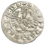 Sigismund III Vasa, 3 Polker Bromberg 1614 - RARE