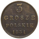Zobacz podobne