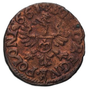 Giovanni II Casimiro, Szeląg Ujazdów 1661