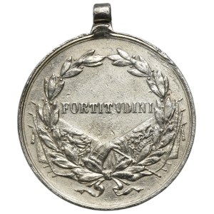Österreich, Karl I., Tapferkeitsmedaille