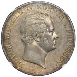 Zobacz podobne