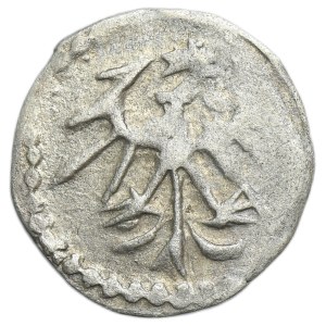 Ladislaus II Jagiello, Denarius Fraustadt undated - letter V