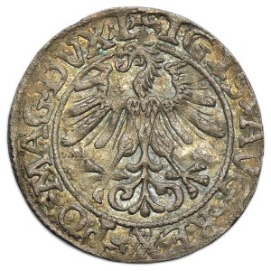 Sigismund II August, 1/2 Groschen Vilnius 1561 - L/LITV