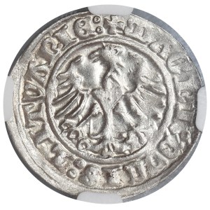 Sigismund I the Old, Halfgroat Vilnius 1511 - NGC MS63