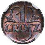 Zobacz podobne