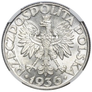 Żaglowiec, 5 złotych 1936 - NGC MS62