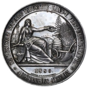 Silesia, Medal of the Exhibition of Crafts, Industry and Agriculture in Teschen 1880 - SILVER