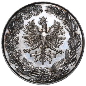 Silesia, Medal of the Exhibition of Crafts, Industry and Agriculture in Teschen 1880 - SILVER