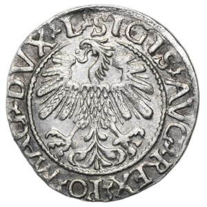 Sigismund II August, 1/2 Groschen Vilnius 1560 - L/LITV