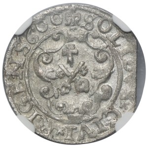 Sigismund III Vasa, Schilling Riga 1600 - NGC MS62
