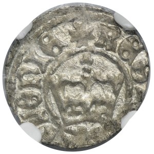 Jan I Olbracht, Półgrosz Kraków bez daty - NGC MS63