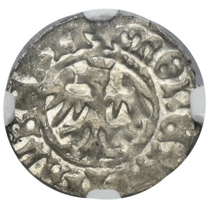 Jan I Olbracht, Półgrosz Kraków bez daty - NGC MS63