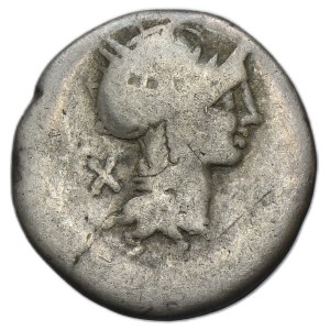 Roman Republic, M. Cipius M. f., Denarius