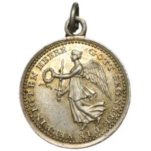 Germany, Medal Allied Crossing of the Rhine 1814