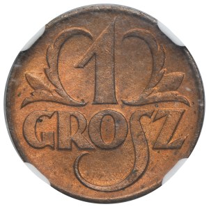 1 grosz 1923 - NGC MS64 RB