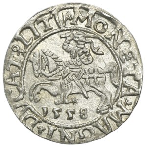 Sigismund II. August, Halbgroschen aus Vilnius 1558 – LI/LITV