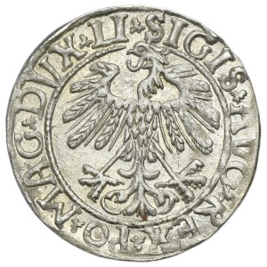Sigismund II. August, Halbgroschen aus Vilnius 1558 – LI/LITV
