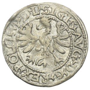Sigismund II August, 1/2 Groschen Tykocin 1566 - RARE